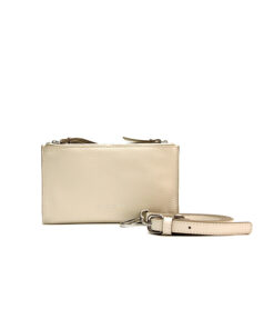 GIANNI CHIARINI soma