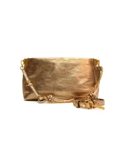 GIANNI CHIARINI soma