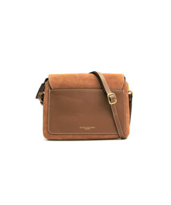 GIANNI CHIARINI soma