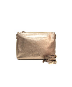 GIANNI CHIARINI soma