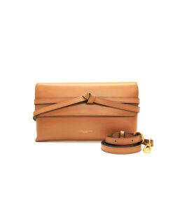 GIANNI CHIARINI soma