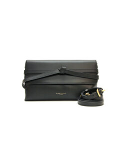 GIANNI CHIARINI soma