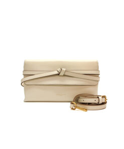 GIANNI CHIARINI soma