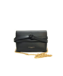 GIANNI CHIARINI soma