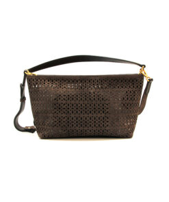 GIANNI CHIARINI soma